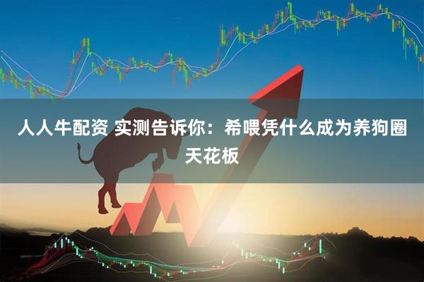 人人牛配资 实测告诉你：希喂凭什么成为养狗圈天花板